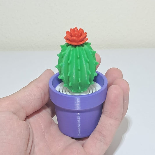 🌵 Mini Kaktüs
